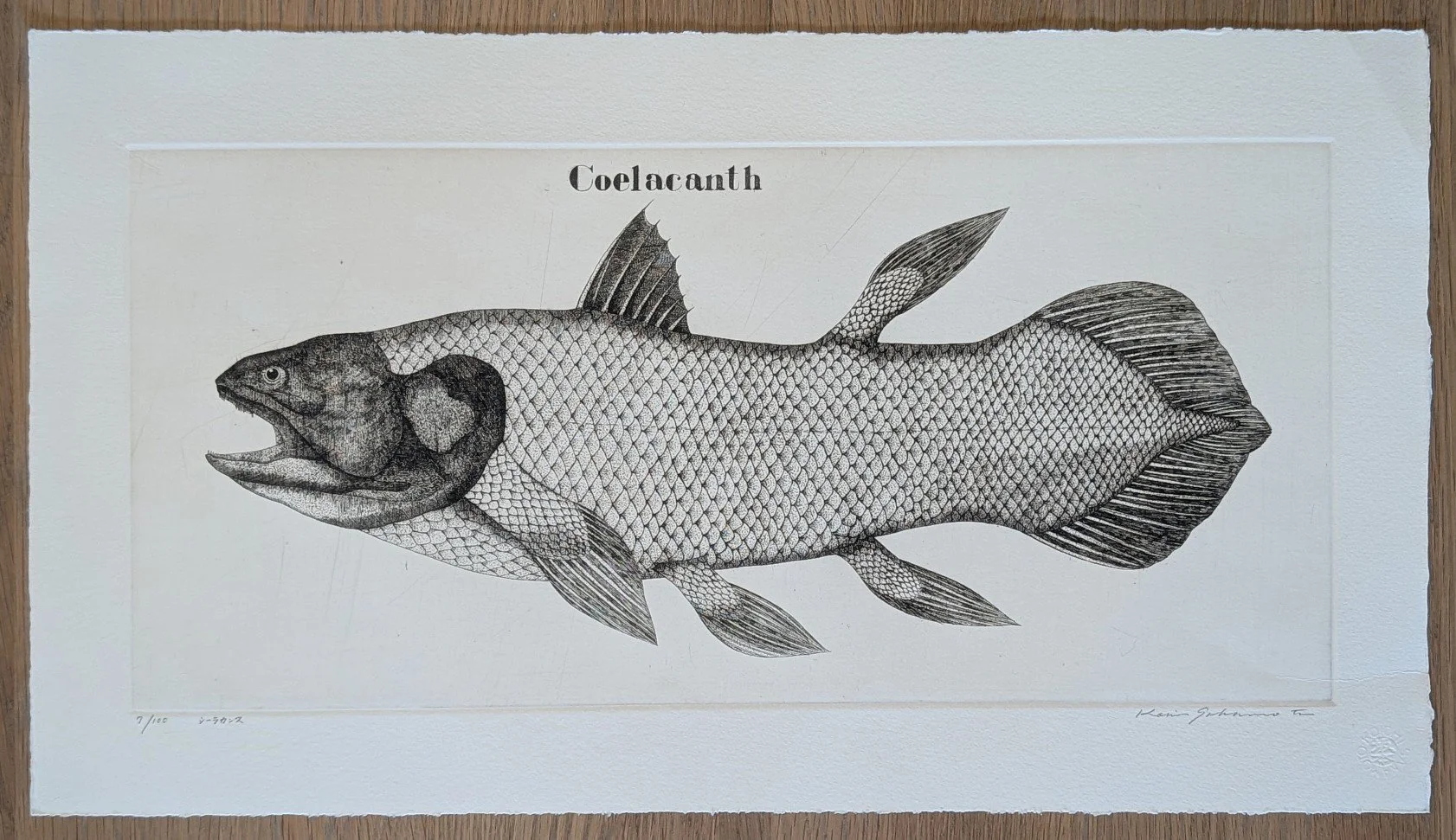 Koichi Sakamoto - シーラカンス (Coelacanth) | Japanese Prints